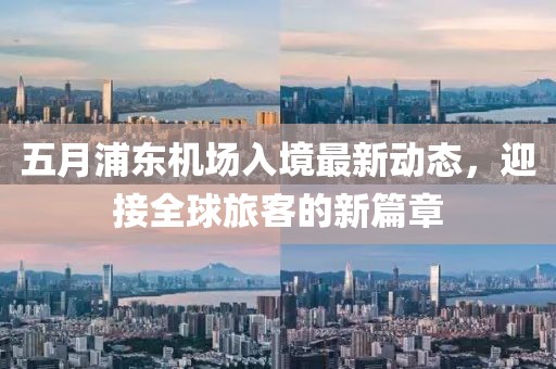 五月浦东机场入境最新动态，迎接全球旅客的新篇章