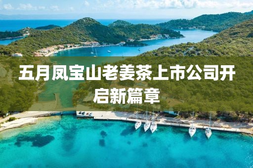 五月凤宝山老姜茶上市公司开启新篇章