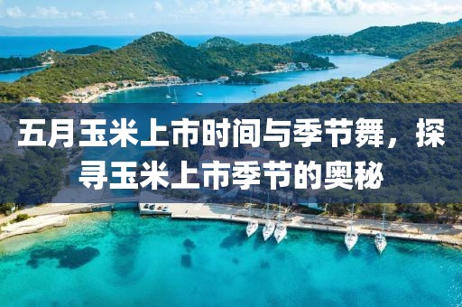 五月玉米上市时间与季节舞，探寻玉米上市季节的奥秘