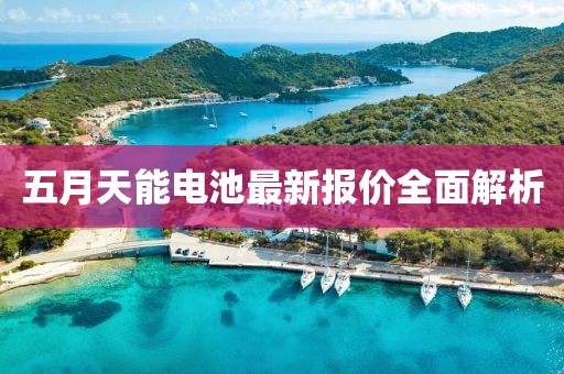 五月天能电池最新报价全面解析