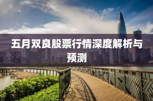 五月双良股票行情深度解析与预测