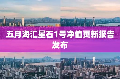 五月海汇星石1号净值更新报告发布