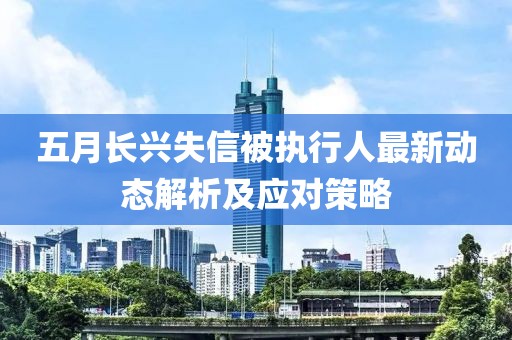 五月长兴失信被执行人最新动态解析及应对策略