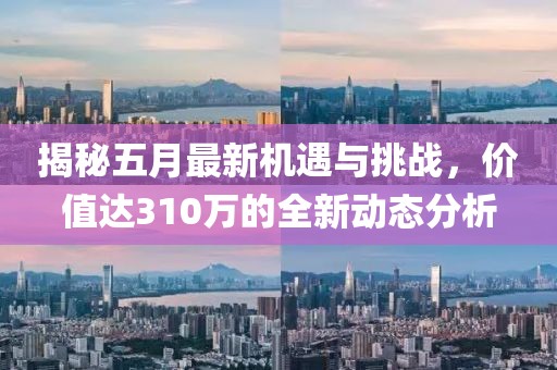 揭秘五月最新机遇与挑战，价值达310万的全新动态分析