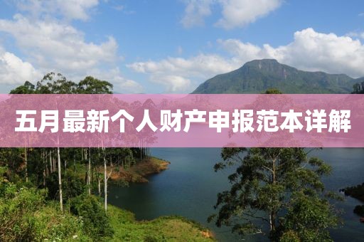 五月最新个人财产申报范本详解