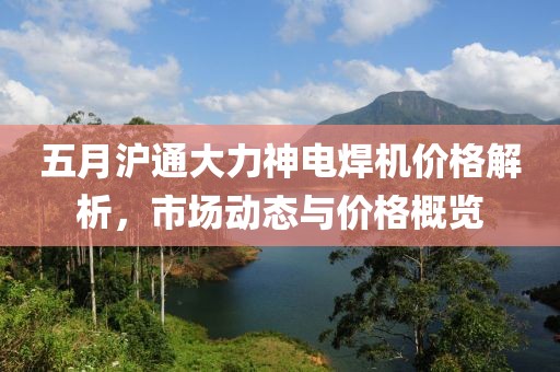五月沪通大力神电焊机价格解析，市场动态与价格概览