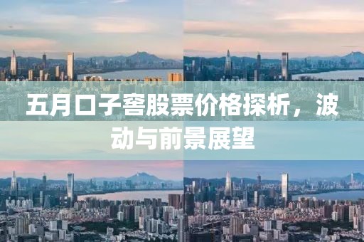 五月口子窖股票价格探析，波动与前景展望