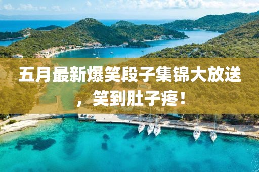 五月最新爆笑段子集锦大放送，笑到肚子疼！