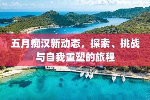 五月痴汉新动态，探索、挑战与自我重塑的旅程