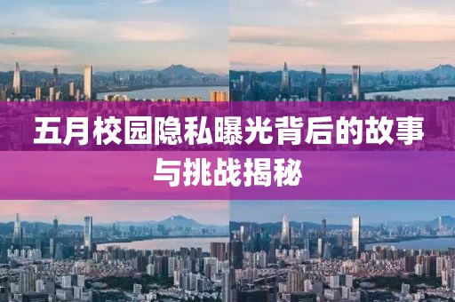 五月校园隐私曝光背后的故事与挑战揭秘
