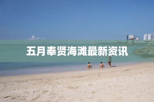 五月奉贤海滩最新资讯