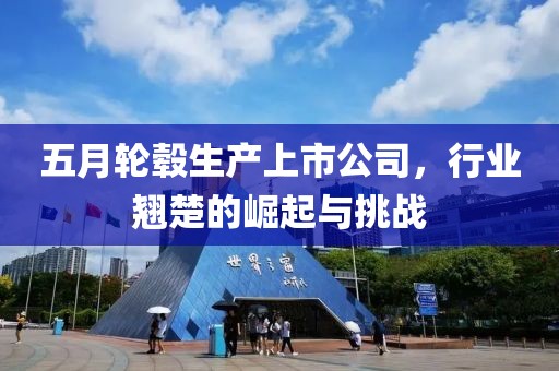 五月轮毂生产上市公司，行业翘楚的崛起与挑战