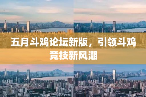 五月斗鸡论坛新版，引领斗鸡竞技新风潮