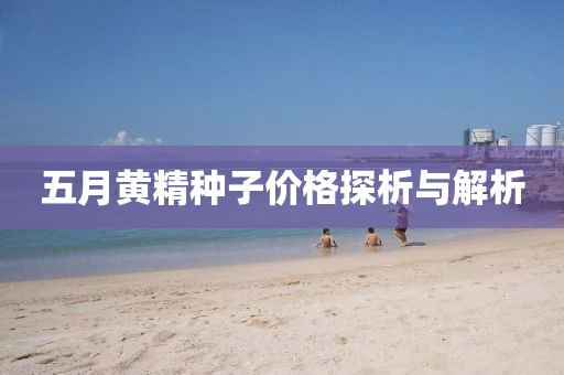 五月黄精种子价格探析与解析