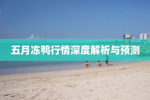 五月冻鸭行情深度解析与预测