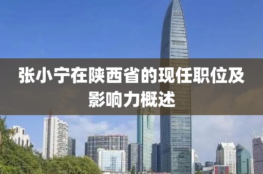 张小宁在陕西省的现任职位及影响力概述