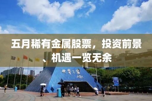五月稀有金属股票，投资前景、机遇一览无余