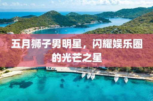 五月狮子男明星，闪耀娱乐圈的光芒之星