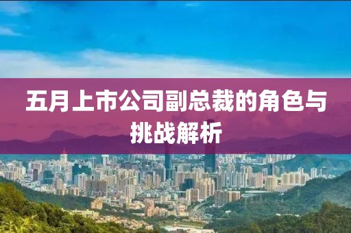 五月上市公司副总裁的角色与挑战解析
