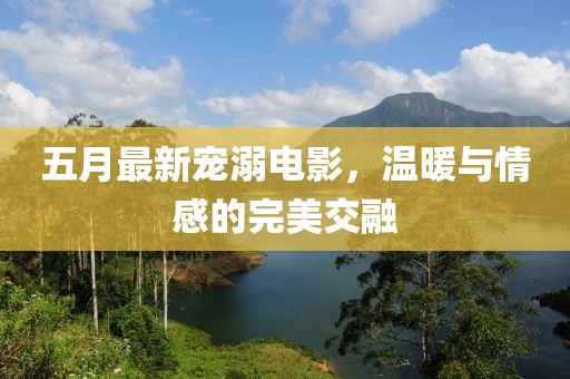 五月最新宠溺电影，温暖与情感的完美交融