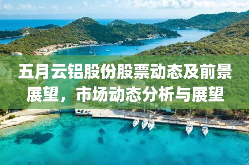 五月云铝股份股票动态及前景展望，市场动态分析与展望