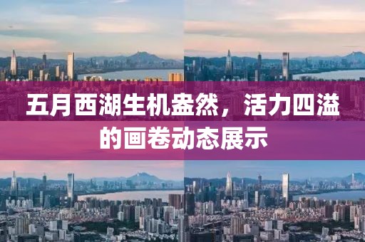五月西湖生机盎然，活力四溢的画卷动态展示