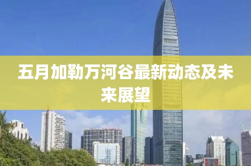 五月加勒万河谷最新动态及未来展望
