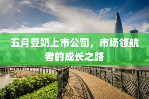 五月豆奶上市公司，市场领航者的成长之路
