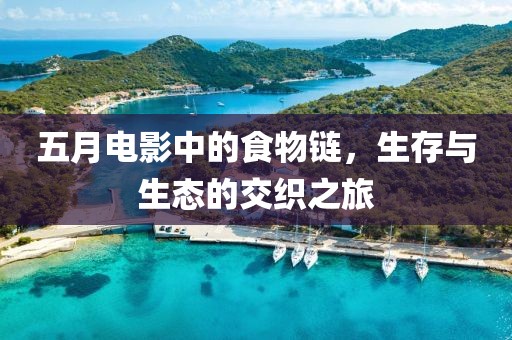 五月电影中的食物链，生存与生态的交织之旅