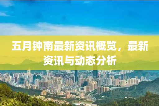 五月钟南最新资讯概览，最新资讯与动态分析