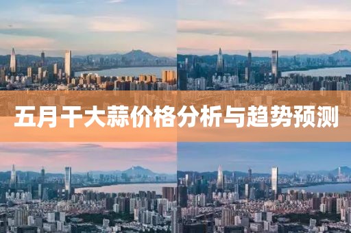 五月干大蒜价格分析与趋势预测