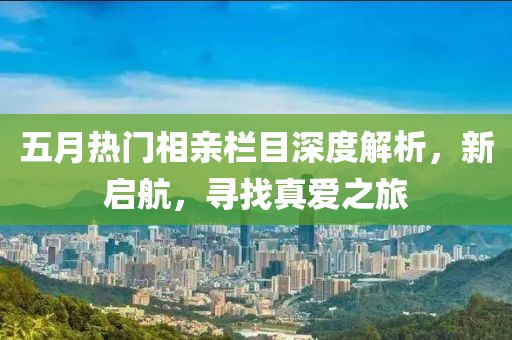 五月热门相亲栏目深度解析，新启航，寻找真爱之旅