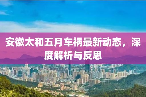 安徽太和五月车祸最新动态，深度解析与反思