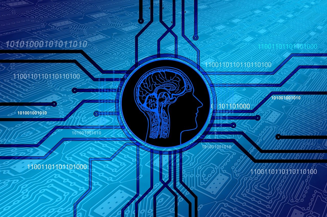 2024新奥正版资料免费提供,数据科学解析与应用，多平台适配版4283.059